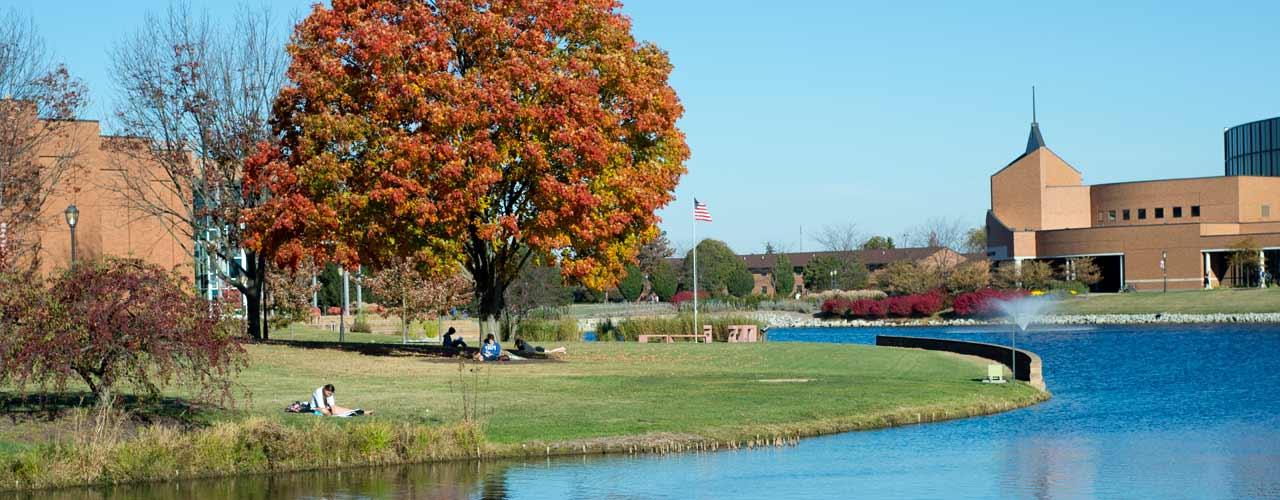 Students study by the lake